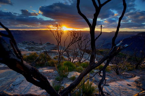 Ultimate Blue Mountains And Wildlife Tour - Accommodation Rockhampton 2