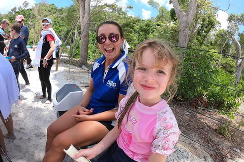 Whitehaven Beach Day Tour With Snorkel In Whitsundays Island - Accommodation Rockhampton 1