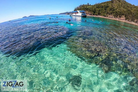Whitehaven Beach Day Tour With Snorkel In Whitsundays Island - Accommodation Rockhampton 5