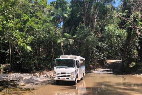 Cairns To Cooktown 4WD Tour - Accommodation Rockhampton 5
