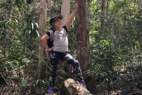 Natural Bridge, Skywalk And Mt Tamborine Adventure! - Accommodation Rockhampton 3