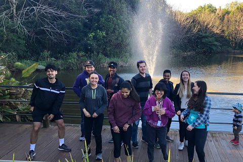 Natural Bridge, Skywalk And Mt Tamborine Adventure! - Accommodation Rockhampton 4
