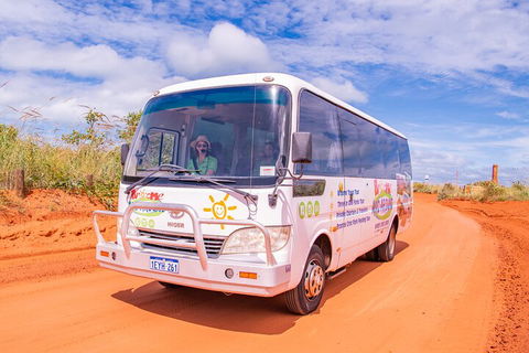 Malcolm Douglas Crocodile Park Tour Including Transportation - Accommodation Rockhampton 3