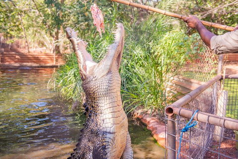 Malcolm Douglas Crocodile Park Tour Including Transportation - Accommodation Rockhampton 5