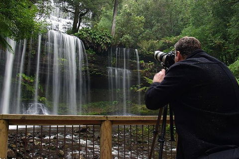 Mt Field And Styx Valley Photography Tour - Accommodation Rockhampton 0