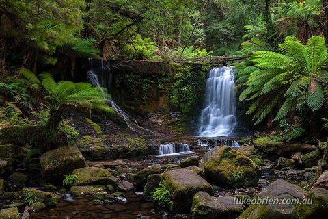 Mt Field And Styx Valley Photography Tour - Accommodation Rockhampton 3