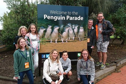 Phillip Island Medium Size Group Tour - Accommodation Rockhampton 5