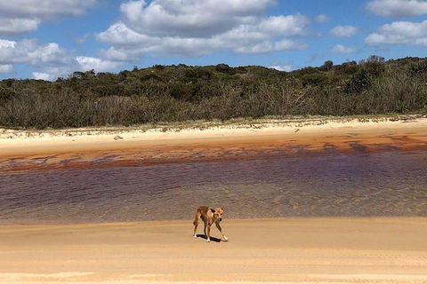 Pippies 3 Days 2 Nights Fraser Island Tour - Accommodation Rockhampton 2