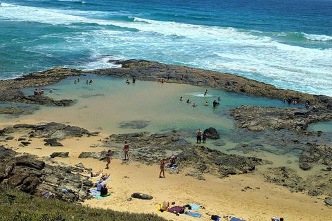 Pippies 3 Days 2 Nights Fraser Island Tour - Accommodation Rockhampton 5