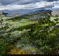 3-Day Tour to the Falls Mountains Lake  More of West Coast Tasmania - Accommodation Rockhampton