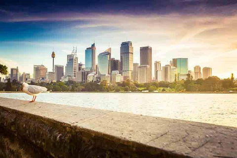 Private Sydney City And Bondi Beach Half Day Tour - Accommodation Rockhampton 2