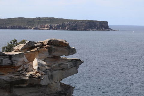 Private Sydney City And Bondi Beach Half Day Tour - Accommodation Rockhampton 3