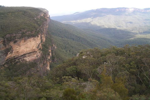 Full-Day Private Blue Mountains Tour With River Cruise - Accommodation Rockhampton 3
