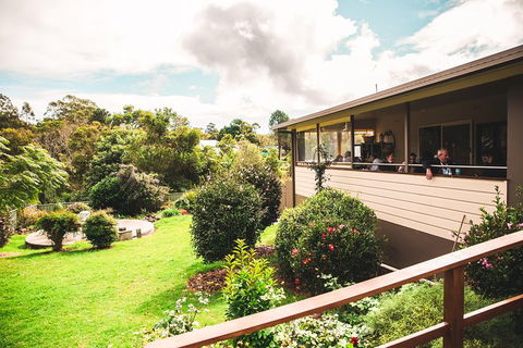 Full-day Springbrook National Park Tour From The Gold Coast - Accommodation Rockhampton 2