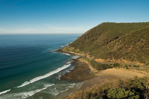 Great Ocean Road Adventure - Private Tour - Reverse - Accommodation Rockhampton 2