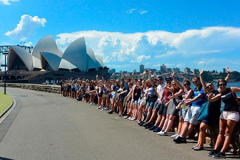 7-Day Tour In Sydney With Airport Pickup - Accommodation Rockhampton 3