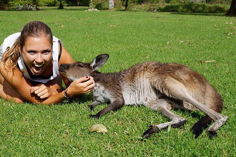 7-Day Tour In Sydney With Airport Pickup - Accommodation Rockhampton 4