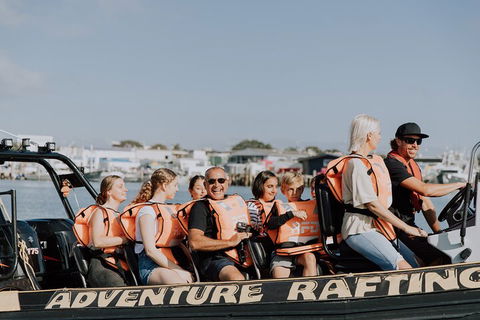 Adventure Whale Watching Tour Mooloolaba - Accommodation Rockhampton 4