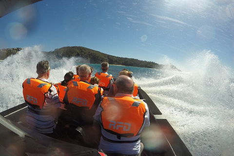 Noosa Thriller - 500hp Ocean Adventure Ride - Accommodation Rockhampton 3