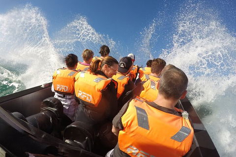 Noosa Thriller - 500hp Ocean Adventure Ride - Accommodation Rockhampton 4