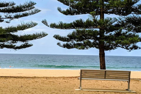 Manly & Sydney's Northern Beaches With 'Personalised Sydney Tours' - Accommodation Rockhampton 0