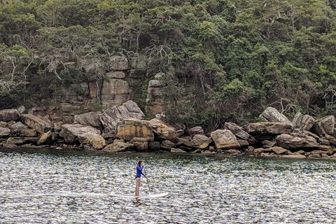 Manly & Sydney's Northern Beaches With 'Personalised Sydney Tours' - Accommodation Rockhampton 3
