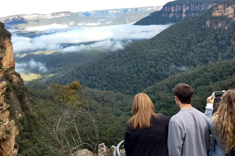 Blue Mountains Private Tour - Wild Kangaroos, Waterfalls And The Three Sisters - Accommodation Rockhampton 3