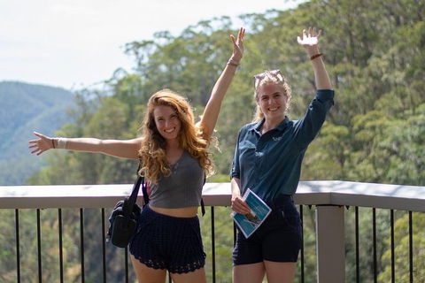 Full-Day Guided Hinterland Adventure Tour In Queensland - Accommodation Rockhampton 3