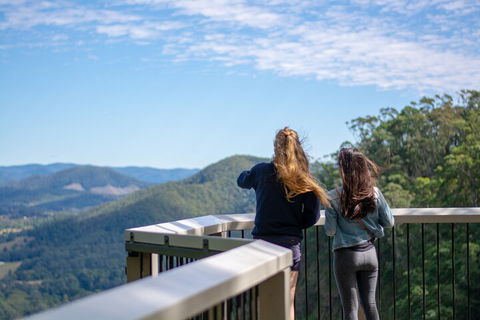 Full-Day Guided Hinterland Adventure Tour In Queensland - Accommodation Rockhampton 5