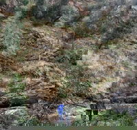 Grampians - Private Tour - Accommodation Rockhampton