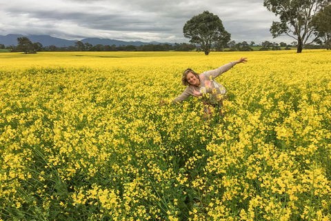 Grampians - Private Tour - Accommodation Rockhampton 3