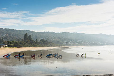 LGBT+ Friendly 12-Hour Great Ocean Road Private Tour - Accommodation Rockhampton 2