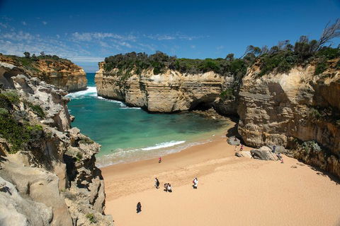 LGBT+ Friendly 12-Hour Great Ocean Road Private Tour - Accommodation Rockhampton 5