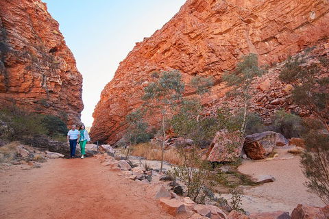 Best Of Alice Springs Full Day Tour - Accommodation Rockhampton 1