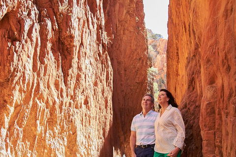 Best Of Alice Springs Full Day Tour - Accommodation Rockhampton 4