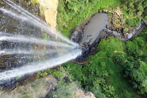 Natural Bridge & Springbrook Waterfalls Tour + Hot Air Balloon With Breakfast - Accommodation Rockhampton 1