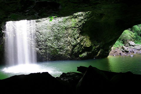 Natural Bridge & Springbrook Waterfalls Tour + Hot Air Balloon With Breakfast - Accommodation Rockhampton 2