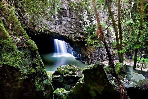 Natural Bridge & Springbrook Waterfalls Tour + Hot Air Balloon With Breakfast - Accommodation Rockhampton 4
