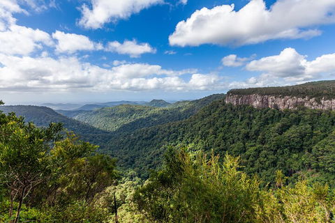Natural Bridge & Springbrook Waterfalls Tour - Accommodation Rockhampton 1