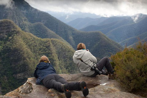 Inside The Greater Blue Mountains World Heritage - A Private Wildlife Safari Overnight - Accommodation Rockhampton 0