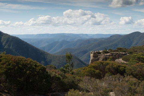 Inside The Greater Blue Mountains World Heritage - A Private Wildlife Safari Overnight - Accommodation Rockhampton 5