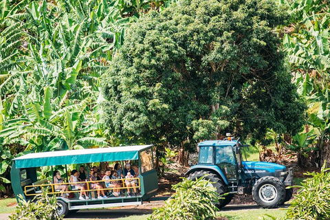 Northern Rivers Full Day Wine Tour - Accommodation Rockhampton 1