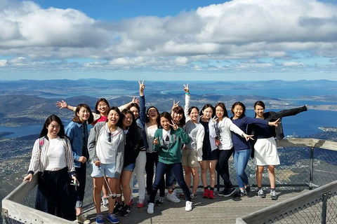 Mt Field National Park Active Day-Trip Including Bonorong And Mt Wellington - Accommodation Rockhampton 2