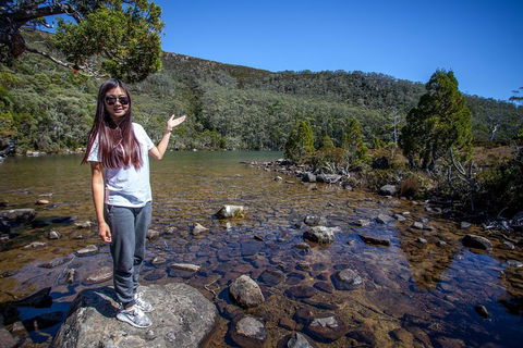 Mt Field National Park Active Day-Trip Including Bonorong And Mt Wellington - Accommodation Rockhampton 4