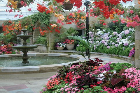 Hobart Half-Day Sightseeing Coach Tram Tour - Accommodation Rockhampton 3