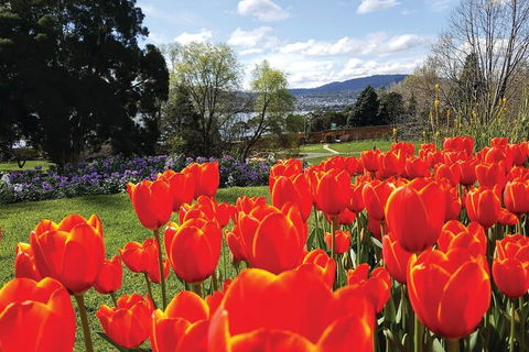 Hobart Half-Day Sightseeing Coach Tram Tour - Accommodation Rockhampton 4