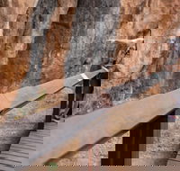 Chillagoe Caves and Outback Day Trip from Cairns - Accommodation Rockhampton