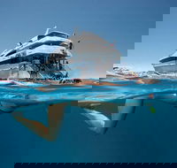 3 Day Great Barrier Reef Daintree Rainforest and Outback Chillagoe Tour - Accommodation Rockhampton