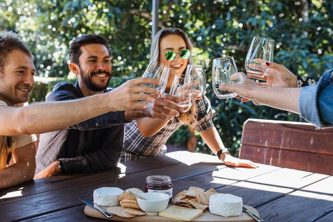 Full-day Wine-Tasting And Tamborine Mountain Tour With Lunch - Accommodation Rockhampton 0