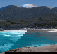 Wilson's Promontory Small Group Eco Tour from Melbourne - Accommodation Rockhampton